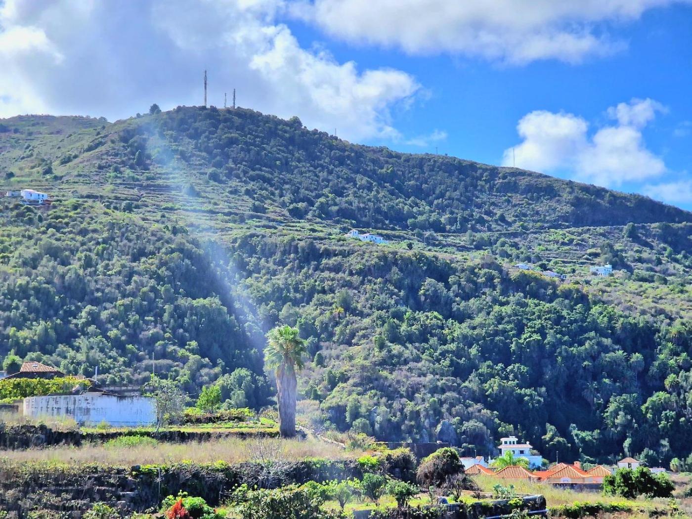 Cozy House Casa De Los Abuelos In Icod De Los Vinos By Hrtenerife Net Экстерьер фото