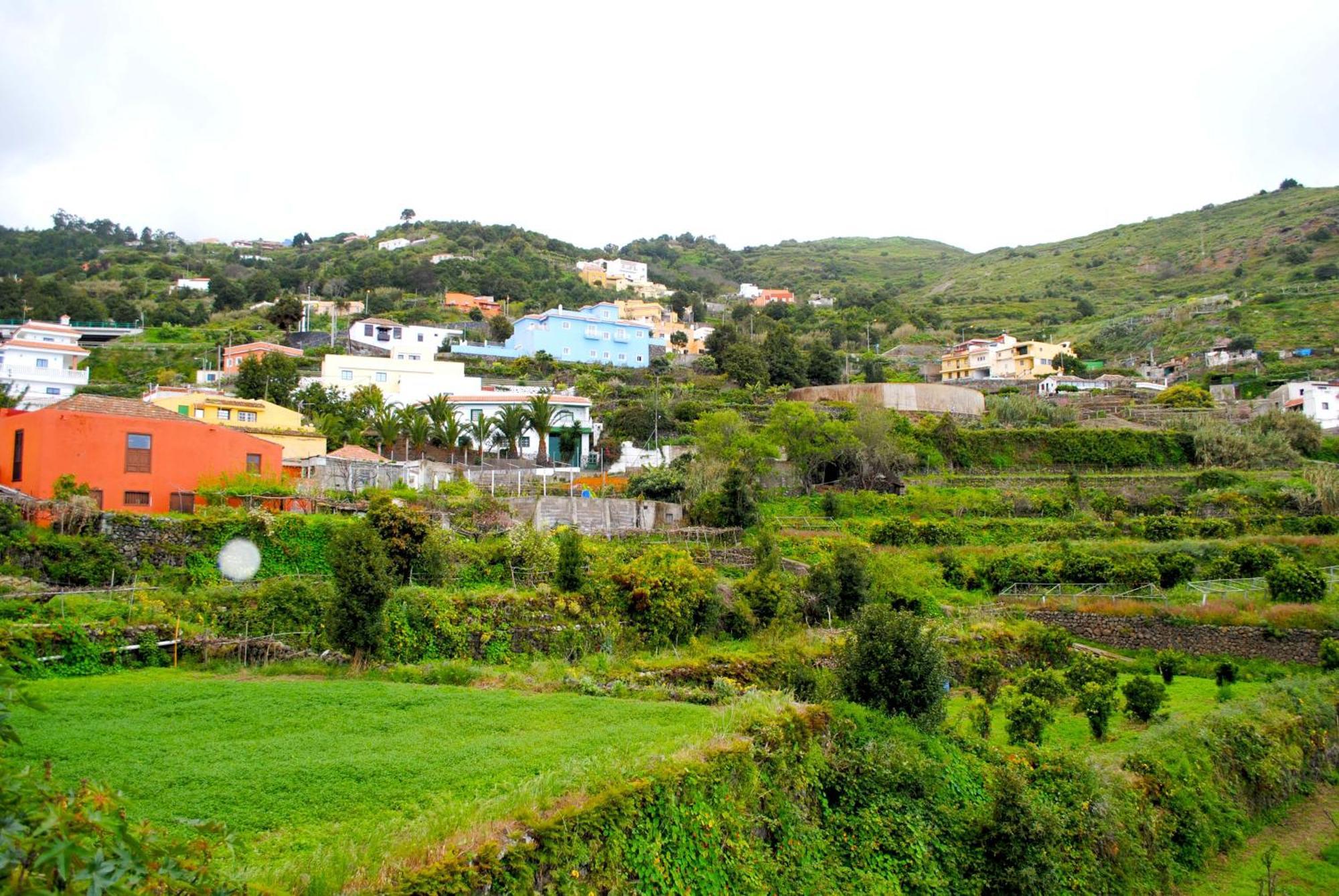 Cozy House Casa De Los Abuelos In Icod De Los Vinos By Hrtenerife Net Экстерьер фото