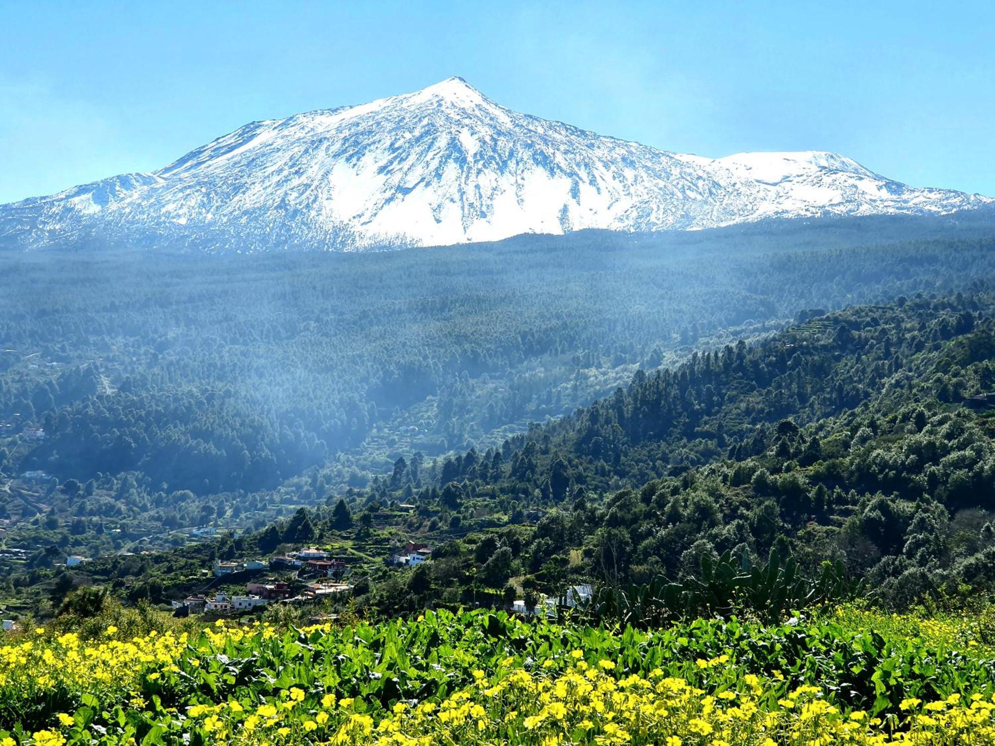 Cozy House Casa De Los Abuelos In Icod De Los Vinos By Hrtenerife Net Экстерьер фото